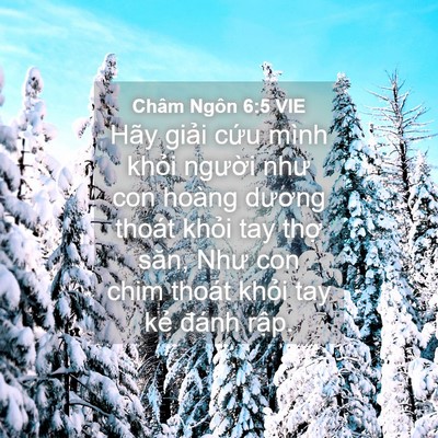 Picture 04 - Châm Ngôn 6:5 VIE - Hãy giải cứu mình khỏi người như con - Bible Verse Picture