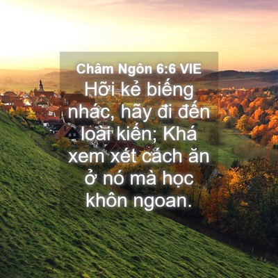 Picture 04 - Châm Ngôn 6:6 VIE - Hỡi kẻ biếng nhác, hãy đi đến loài - Bible Verse Picture