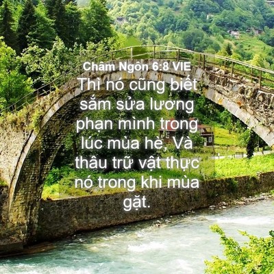 Picture 04 - Châm Ngôn 6:8 VIE - Thì nó cũng biết sắm sửa lương phạn - Bible Verse Picture