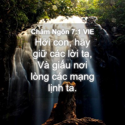 Picture 04 - Châm Ngôn 7:1 VIE - Hỡi con, hãy giữ các lời ta, Và giấu - Bible Verse Picture