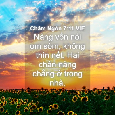 Picture 04 - Châm Ngôn 7:11 VIE - Nàng vốn nói om sòm, không thìn nết, Hai - Bible Verse Picture
