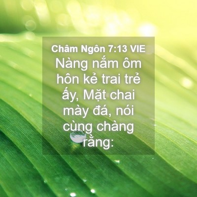 Picture 04 - Châm Ngôn 7:13 VIE - Nàng nắm ôm hôn kẻ trai trẻ ấy, Mặt - Bible Verse Picture