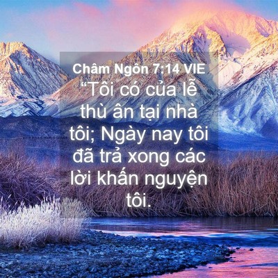 Picture 04 - Châm Ngôn 7:14 VIE - “Tôi có của lễ thù ân tại nhà tôi; - Bible Verse Picture