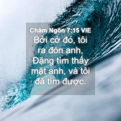 Picture 04 - Châm Ngôn 7:15 VIE - Bởi cớ đó, tôi ra đón anh, Đặng tìm - Bible Verse Picture
