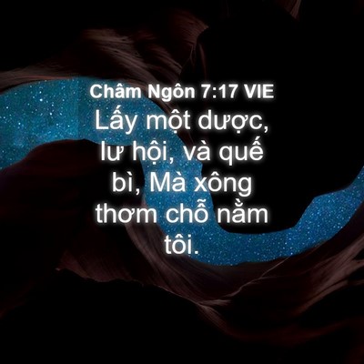 Picture 04 - Châm Ngôn 7:17 VIE - Lấy một dược, lư hội, và quế bì, - Bible Verse Picture