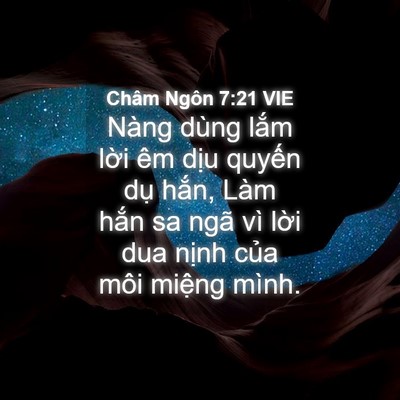 Picture 04 - Châm Ngôn 7:21 VIE - Nàng dùng lắm lời êm dịu quyến dụ - Bible Verse Picture