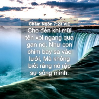 Picture 04 - Châm Ngôn 7:23 VIE - Cho đến khi mũi tên xoi ngang qua gan nó; - Bible Verse Picture