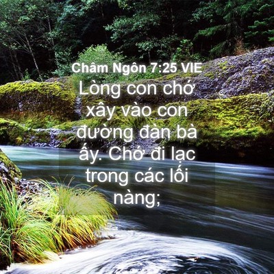 Picture 04 - Châm Ngôn 7:25 VIE - Lòng con chớ xây vào con đường đàn bà - Bible Verse Picture