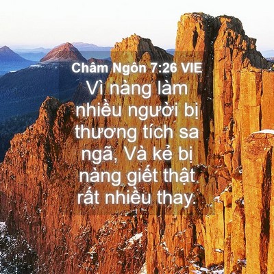 Picture 04 - Châm Ngôn 7:26 VIE - Vì nàng làm nhiều người bị thương - Bible Verse Picture