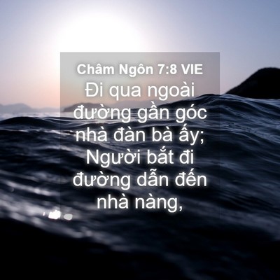 Picture 04 - Châm Ngôn 7:8 VIE - Đi qua ngoài đường gần góc nhà đàn - Bible Verse Picture