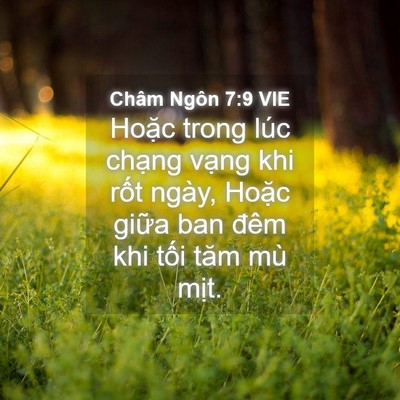 Picture 04 - Châm Ngôn 7:9 VIE - Hoặc trong lúc chạng vạng khi rốt ngày, - Bible Verse Picture