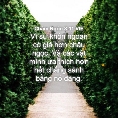Picture 04 - Châm Ngôn 8:11 VIE - Vì sự khôn ngoan có giá hơn châu ngọc, - Bible Verse Picture