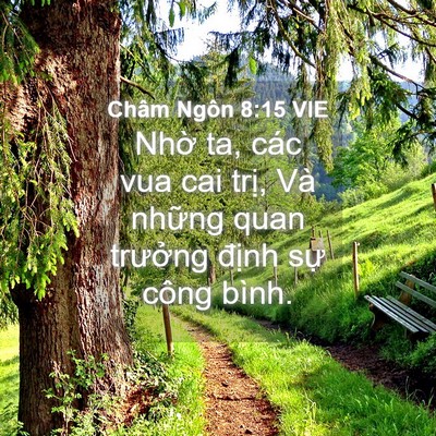 Picture 04 - Châm Ngôn 8:15 VIE - Nhờ ta, các vua cai trị, Và những quan - Bible Verse Picture