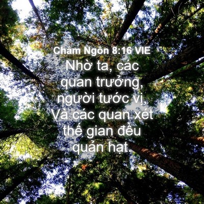 Picture 04 - Châm Ngôn 8:16 VIE - Nhờ ta, các quan trưởng, người tước - Bible Verse Picture