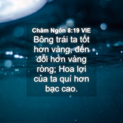 Picture 04 - Châm Ngôn 8:19 VIE - Bông trái ta tốt hơn vàng, đến đỗi - Bible Verse Picture