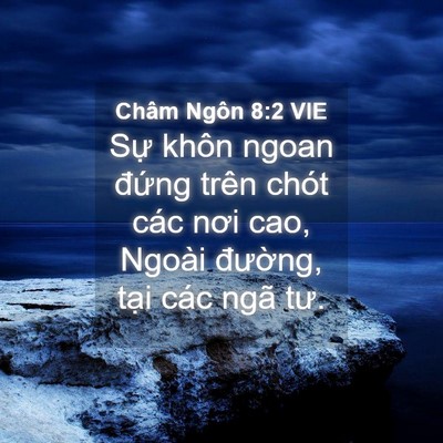 Picture 04 - Châm Ngôn 8:2 VIE - Sự khôn ngoan đứng trên chót các nơi - Bible Verse Picture