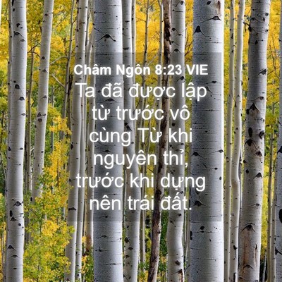 Picture 04 - Châm Ngôn 8:23 VIE - Ta đã được lập từ trước vô cùng - Bible Verse Picture
