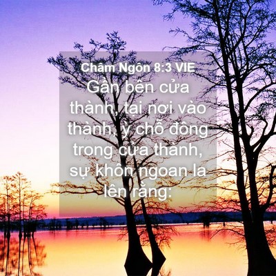 Picture 04 - Châm Ngôn 8:3 VIE - Gần bên cửa thành, tại nơi vào thành, - Bible Verse Picture