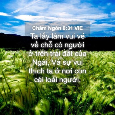 Picture 04 - Châm Ngôn 8:31 VIE - Ta lấy làm vui vẻ về chỗ có người - Bible Verse Picture