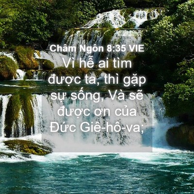 Picture 04 - Châm Ngôn 8:35 VIE - Vì hễ ai tìm được ta, thì gặp sự - Bible Verse Picture