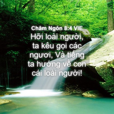 Picture 04 - Châm Ngôn 8:4 VIE - Hỡi loài người, ta kêu gọi các ngươi, - Bible Verse Picture