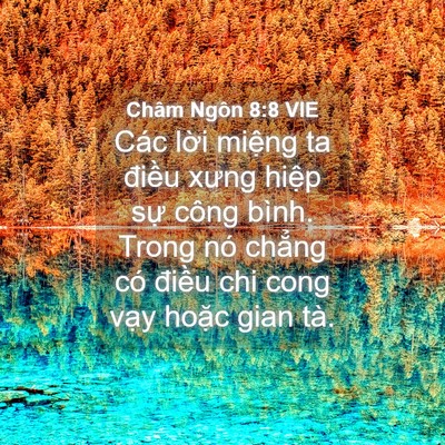 Picture 04 - Châm Ngôn 8:8 VIE - Các lời miệng ta điều xưng hiệp sự - Bible Verse Picture