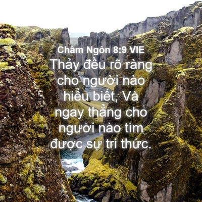 Picture 04 - Châm Ngôn 8:9 VIE - Thảy đều rõ ràng cho người nào hiểu - Bible Verse Picture