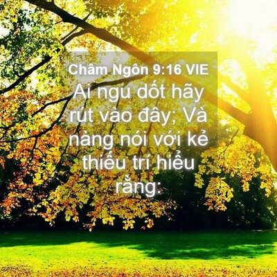 Picture 04 - Châm Ngôn 9:16 VIE - Ai ngu dốt hãy rút vào đây; Và nàng nói - Bible Verse Picture