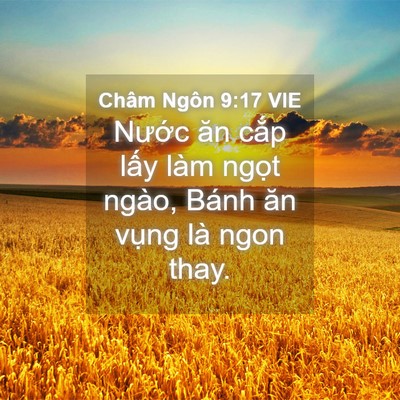 Picture 04 - Châm Ngôn 9:17 VIE - Nước ăn cắp lấy làm ngọt ngào, Bánh - Bible Verse Picture