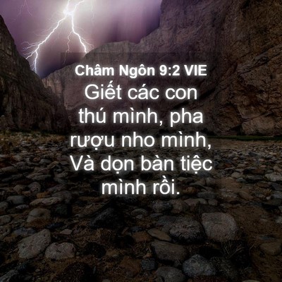 Picture 04 - Châm Ngôn 9:2 VIE - Giết các con thú mình, pha rượu nho - Bible Verse Picture
