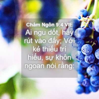 Picture 04 - Châm Ngôn 9:4 VIE - Ai ngu dốt, hãy rút vào đấy; Với kẻ - Bible Verse Picture