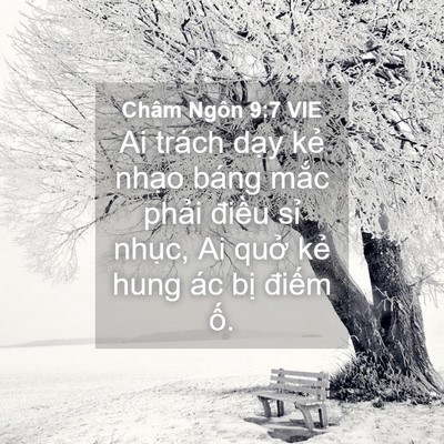 Picture 04 - Châm Ngôn 9:7 VIE - Ai trách dạy kẻ nhạo báng mắc phải - Bible Verse Picture