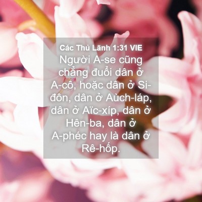 Picture 04 - Các Thủ Lãnh 1:31 VIE - Người A-se cũng chẳng đuổi dân ở - Bible Verse Picture