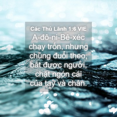 Picture 04 - Các Thủ Lãnh 1:6 VIE - A-đô-ni-Bê-xéc chạy trốn, nhưng chúng - Bible Verse Picture
