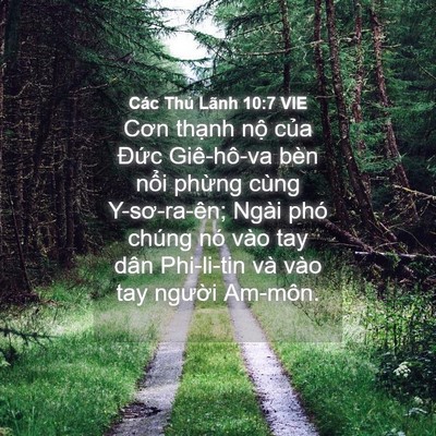 Picture 04 - Các Thủ Lãnh 10:7 VIE - Cơn thạnh nộ của Đức Giê-hô-va bèn - Bible Verse Picture