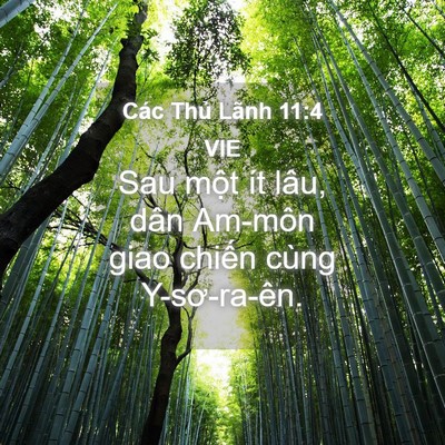 Picture 04 - Các Thủ Lãnh 11:4 VIE - Sau một ít lâu, dân Am-môn giao chiến - Bible Verse Picture