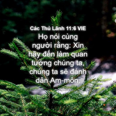 Picture 04 - Các Thủ Lãnh 11:6 VIE - Họ nói cùng người rằng: Xin hãy đến - Bible Verse Picture