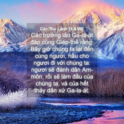 Picture 04 - Các Thủ Lãnh 11:8 VIE - Các trưởng lão Ga-la-át đáp cùng - Bible Verse Picture