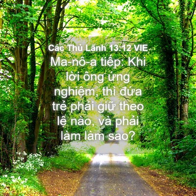 Picture 04 - Các Thủ Lãnh 13:12 VIE - Ma-nô-a tiếp: Khi lời ông ứng nghiệm, - Bible Verse Picture