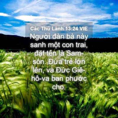 Picture 04 - Các Thủ Lãnh 13:24 VIE - Người đàn bà này sanh một con trai, - Bible Verse Picture