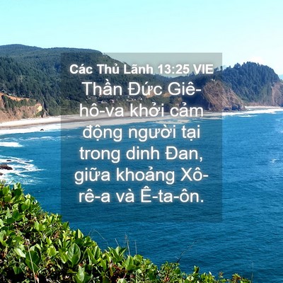 Picture 04 - Các Thủ Lãnh 13:25 VIE - Thần Đức Giê-hô-va khởi cảm động - Bible Verse Picture