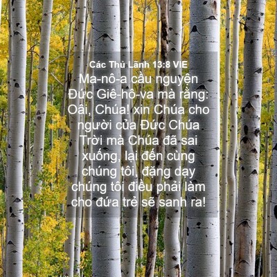 Picture 04 - Các Thủ Lãnh 13:8 VIE - Ma-nô-a cầu nguyện Đức Giê-hô-va mà - Bible Verse Picture