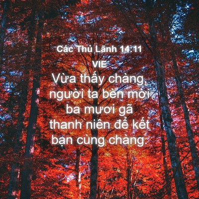 Picture 04 - Các Thủ Lãnh 14:11 VIE - Vừa thấy chàng, người ta bèn mời ba - Bible Verse Picture