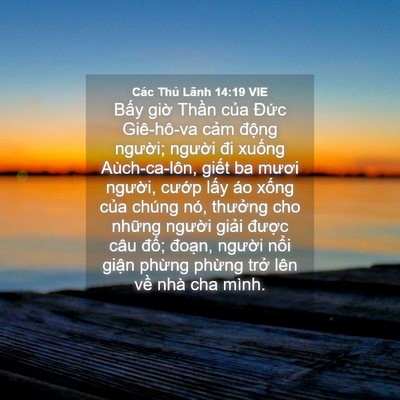 Picture 04 - Các Thủ Lãnh 14:19 VIE - Bấy giờ Thần của Đức Giê-hô-va cảm - Bible Verse Picture
