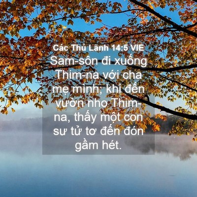 Picture 04 - Các Thủ Lãnh 14:5 VIE - Sam-sôn đi xuống Thim-na với cha mẹ - Bible Verse Picture
