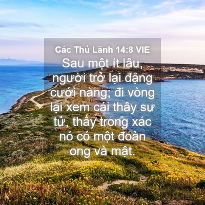 Picture 04 - Các Thủ Lãnh 14:8 VIE - Sau một ít lâu, người trở lại đặng - Bible Verse Picture