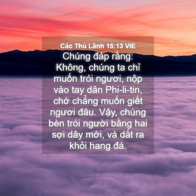 Picture 04 - Các Thủ Lãnh 15:13 VIE - Chúng đáp rằng: Không, chúng ta chỉ - Bible Verse Picture