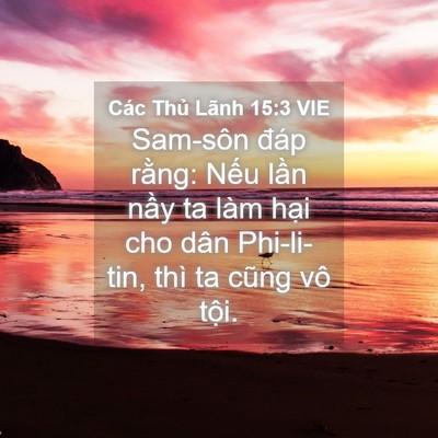 Picture 04 - Các Thủ Lãnh 15:3 VIE - Sam-sôn đáp rằng: Nếu lần nầy ta làm - Bible Verse Picture