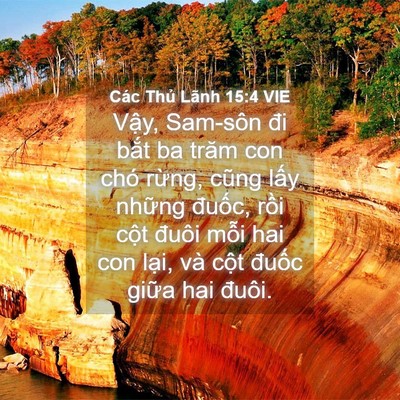 Picture 04 - Các Thủ Lãnh 15:4 VIE - Vậy, Sam-sôn đi bắt ba trăm con chó - Bible Verse Picture