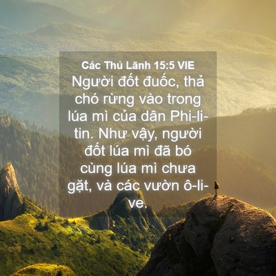 Picture 04 - Các Thủ Lãnh 15:5 VIE - Người đốt đuốc, thả chó rừng vào - Bible Verse Picture